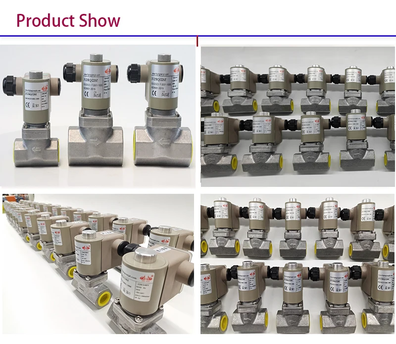 Natural gas solenoid valve Gas shut-off valve normally closed solenoid valve gas equipment