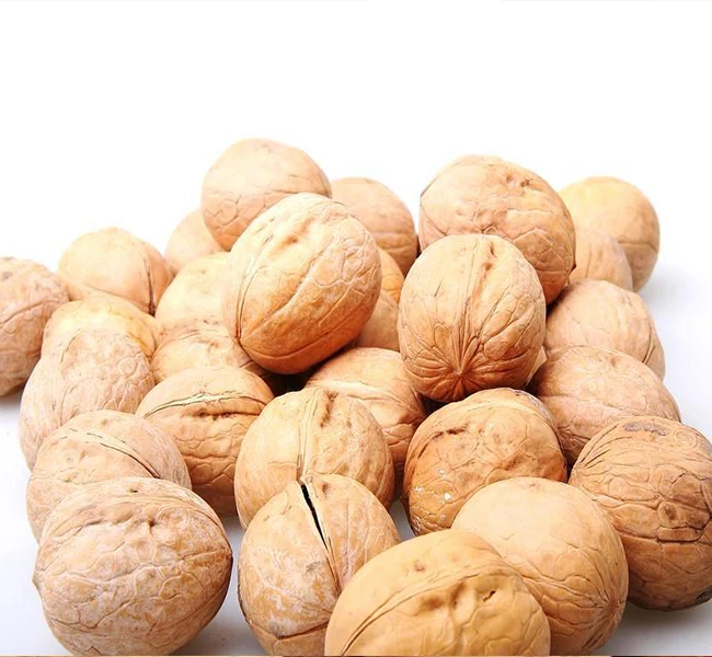  Тонкая оболочка свежее Вкусное питание Китайский грецкий орех/грецкий орех для горячей