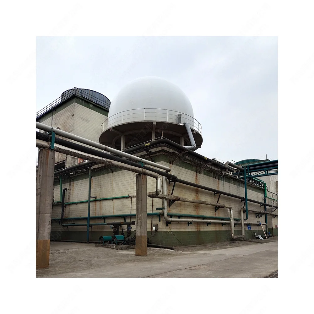 HaiYue Professional Biogas Factory Custom cylinder anlage air conditioner bio gas burner cow dung biogas digester system biogas