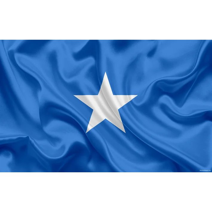 HUI FENG wholesale country cheap advertising Somalia flag National flag