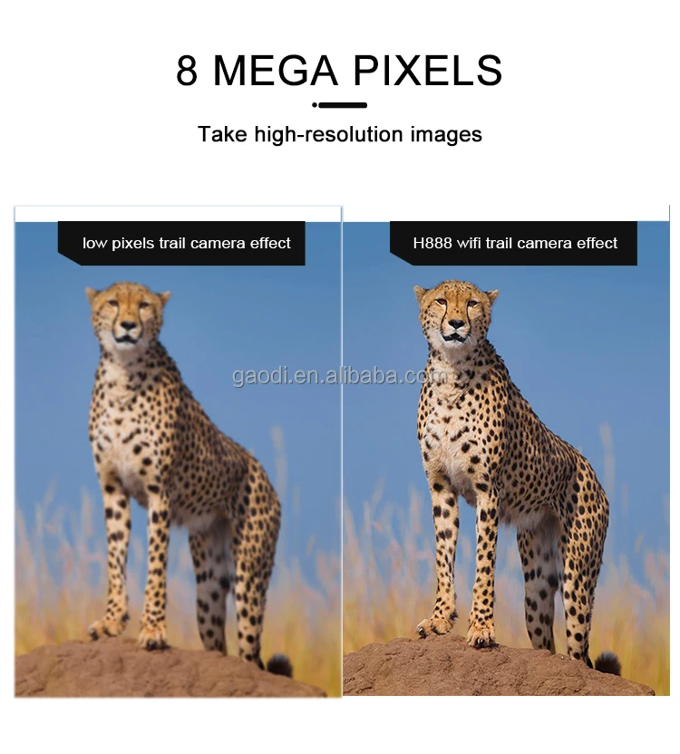 H888WIFI+_02.jpg