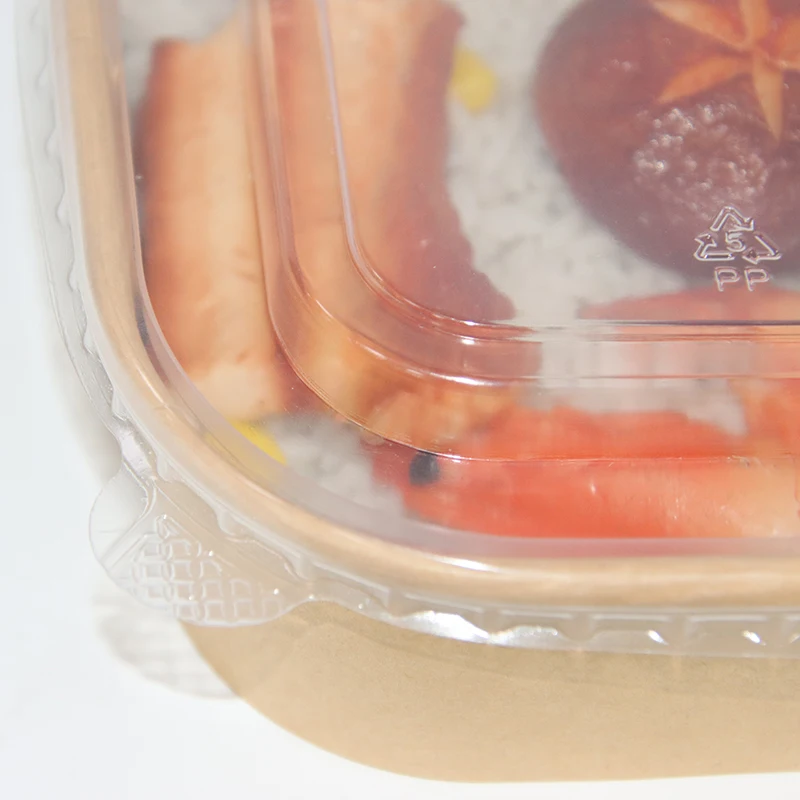 Eco-100% biodegradable kraft paper lunch box with cover, recyclable food container