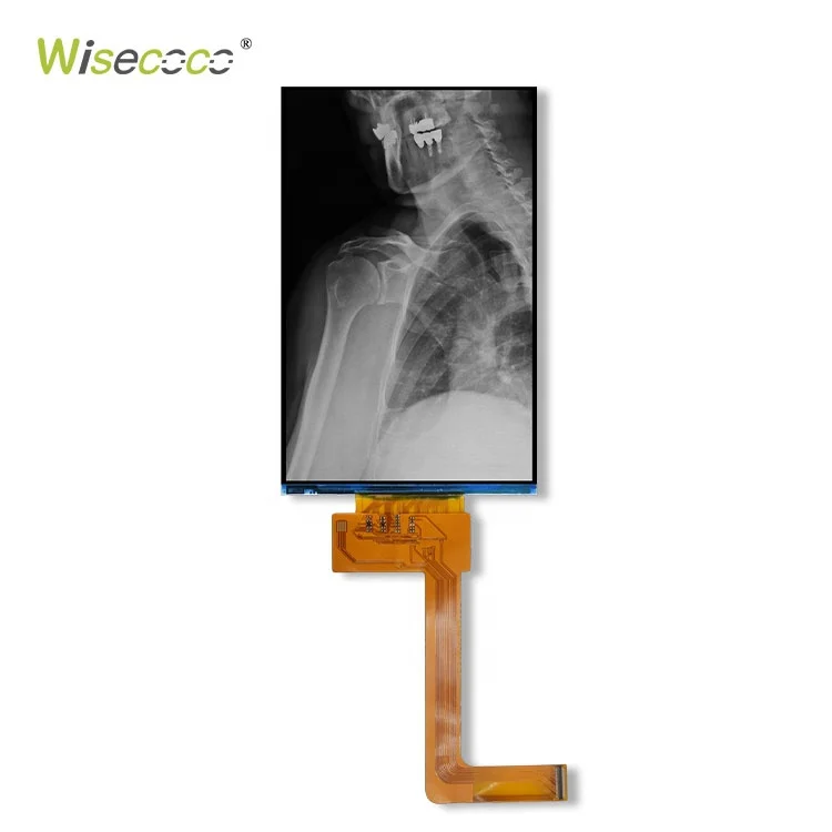 Long Lifespan Original New 6 Inch 2k Monochrome Lcd Display Screen Panel High Resolution For 3d Printer