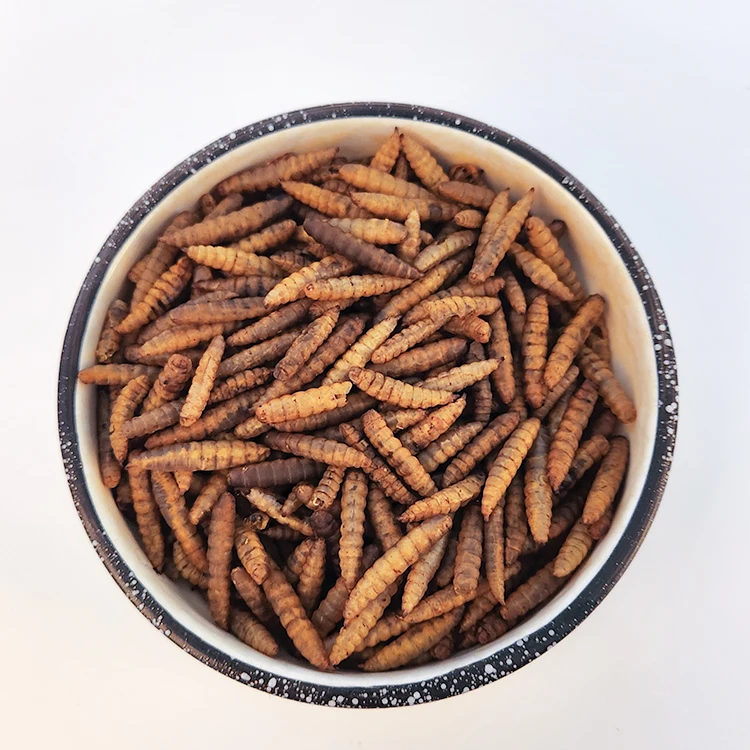 Factory direct sales products fish bird snack food larvae dried black soldier fly