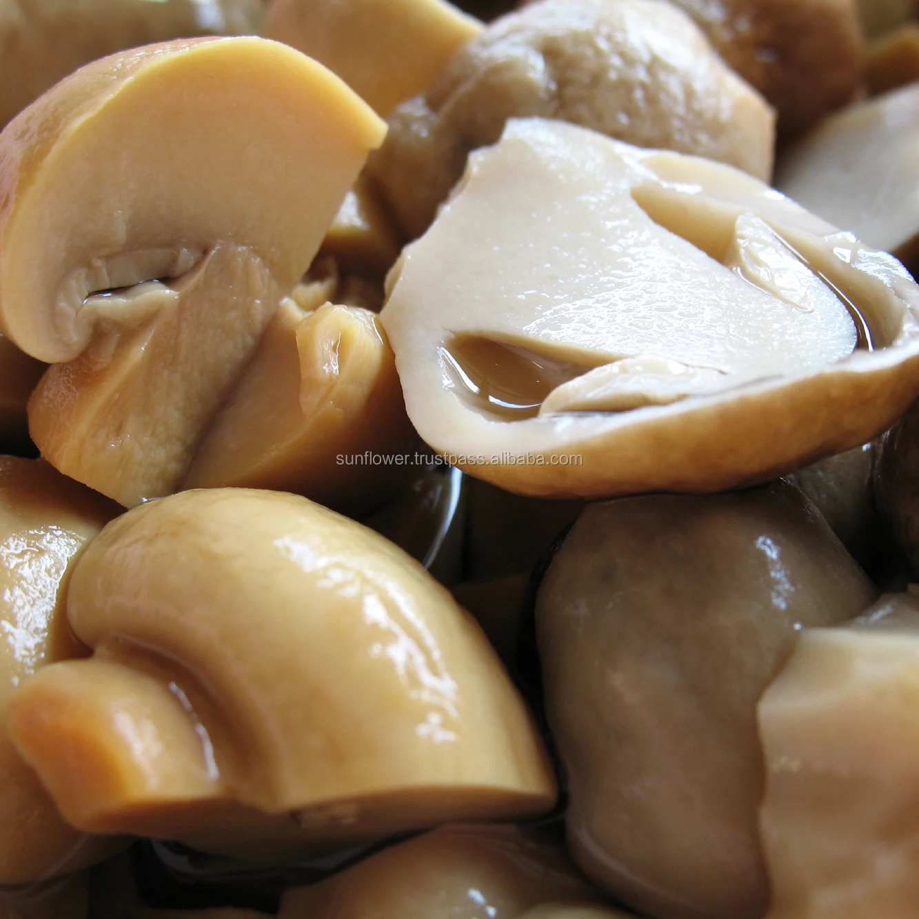 
Canned Champignon Mushroom Slice 