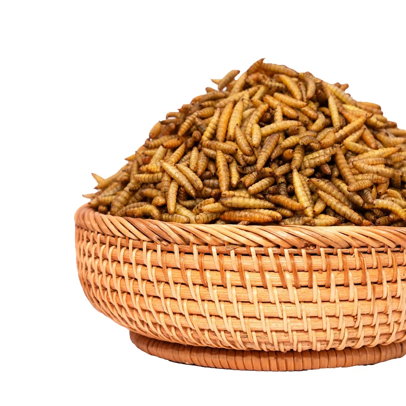 Wholesale Dried Mealworms No Additives 100% Pure Koi Fish Feed Natural Turtle Food