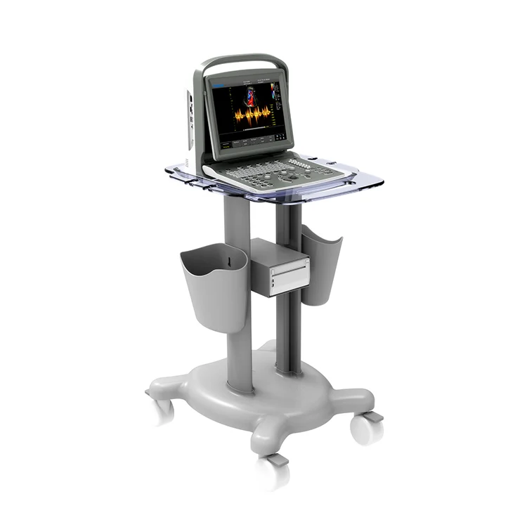 Chison ECO6 Promotion of the cheapest price Full digital ultrasound excellent 3D 4D color Doppler  ultrasound