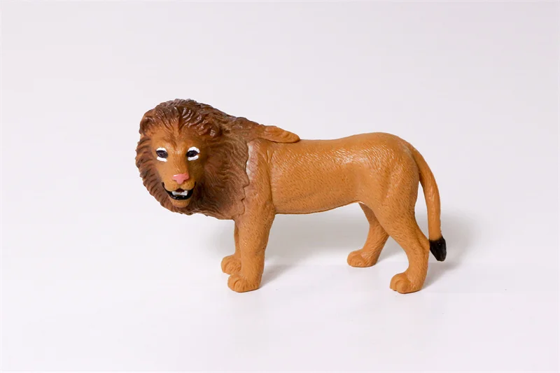 YX  Animal (4)