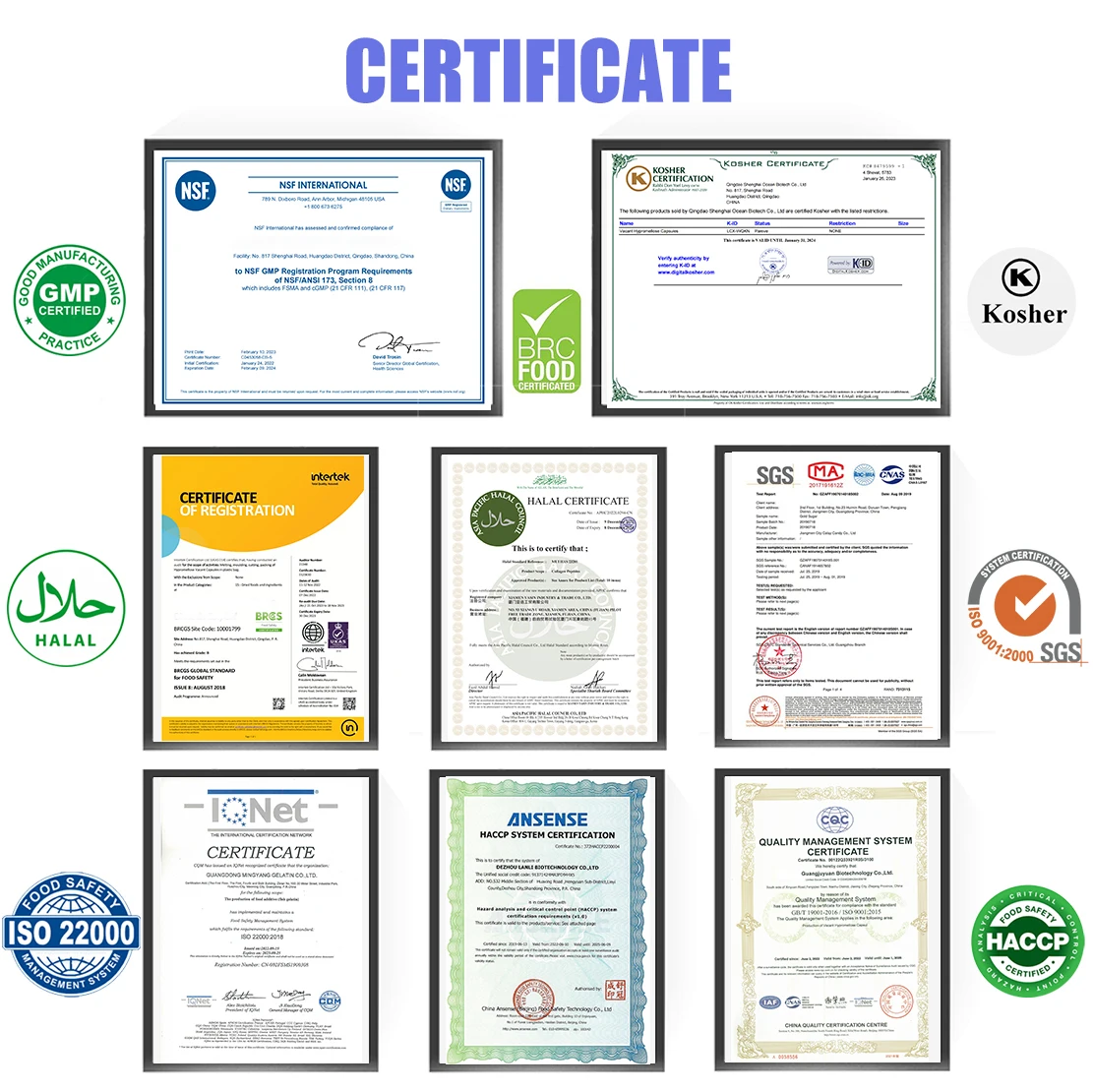 cow bone gelatine halal pharmaceutical gelatin for Pharmaceutical Industry