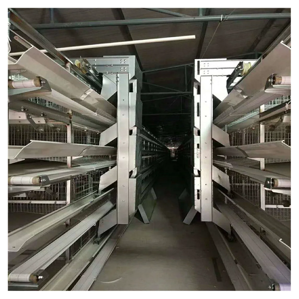 Полностью автоматическая многослойная клетка типа H для птичьего домика вместимостью 20000