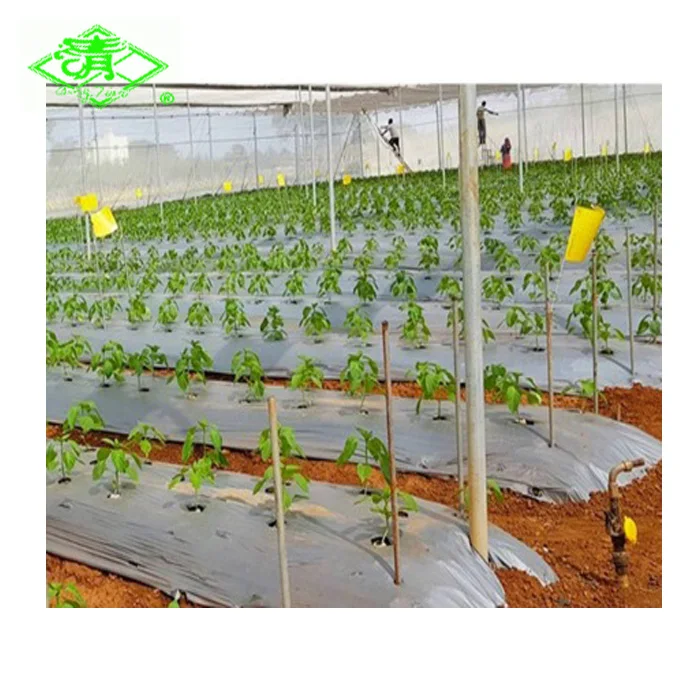 Agricultural Plastic  Control Mulching Film Black Silver Shine Mulch Film For graden greenhouse
