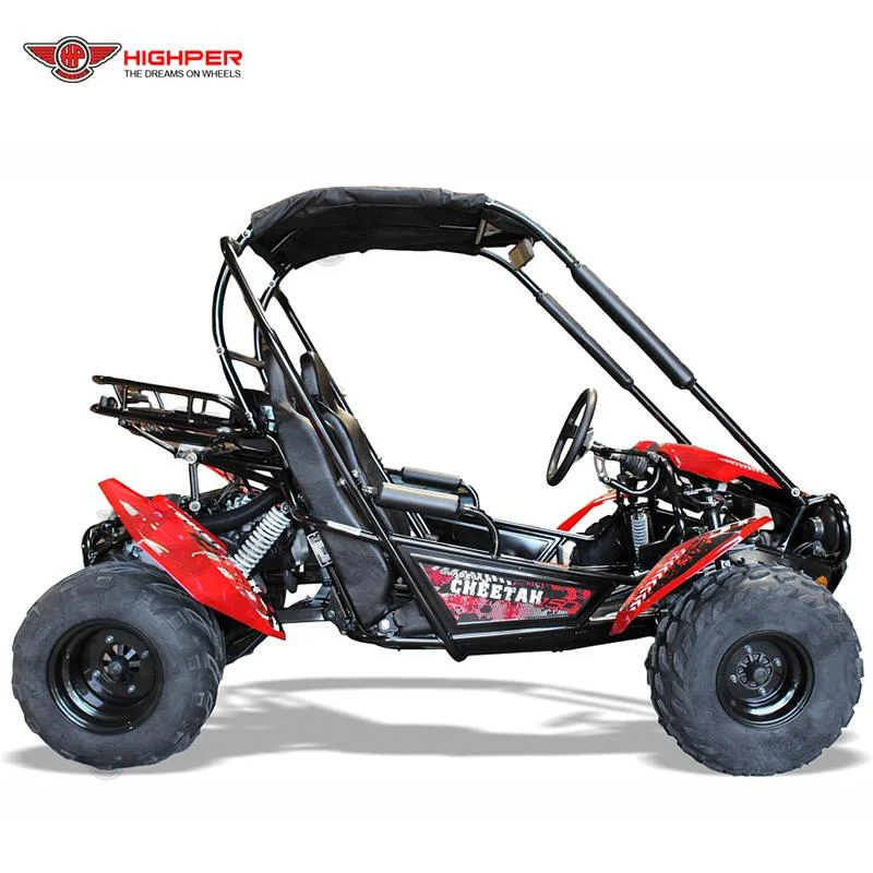 Hot sale 150cc private safety super racing beach 2 seater go kart for adult