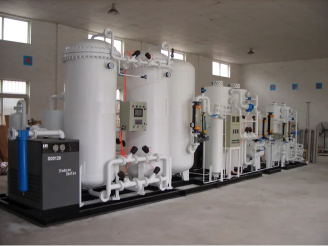 Advanced hot-sale 20Nm3/hr 99.999%  PSA small nitrogen gas generator