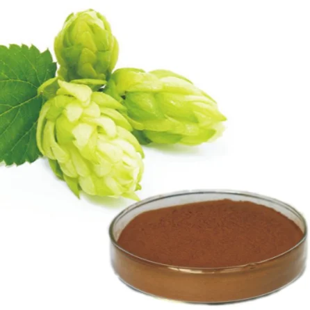 Herbal Extract Hops Extract Factory Price High Quality Hops Extract