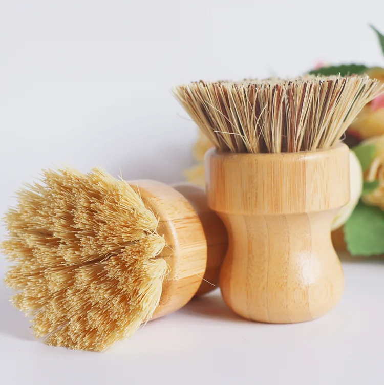 eco dish brush.png