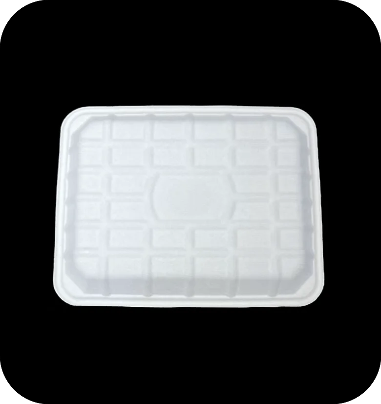 100% Biodegradable Bagasse Tray Used  for Restaurant Party Disposable Sugarcane Tray TR9P Compostable