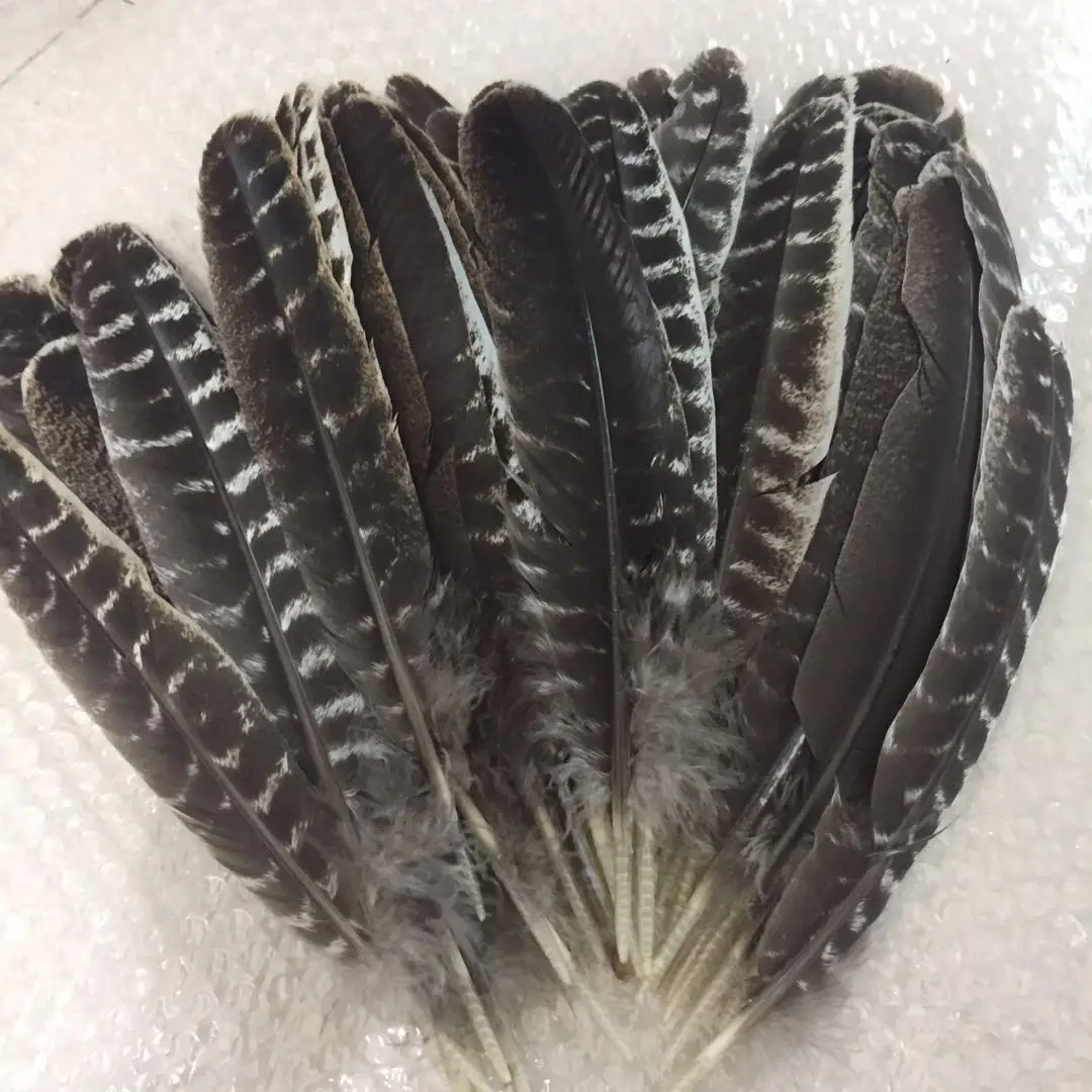  Spot wholesale High Quality Feather diy turkey feather 15-30cm