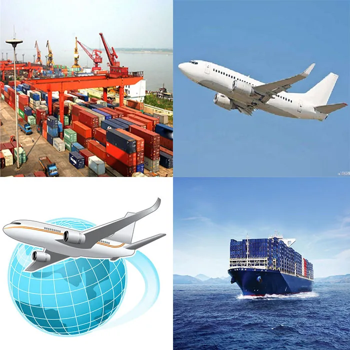 Super large cargo sea international shipping agent from china Warehouse to Canada USA UK UAE Africa worldwide