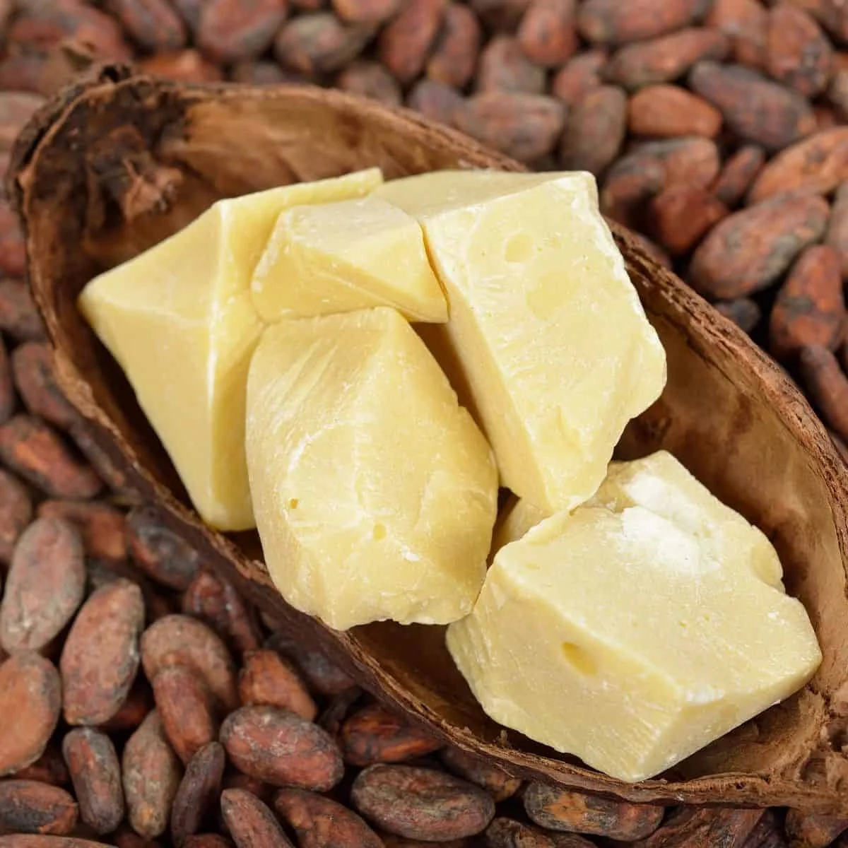 Wholesale Price Cocoa Butter Raw Bulk Cocoa Butter