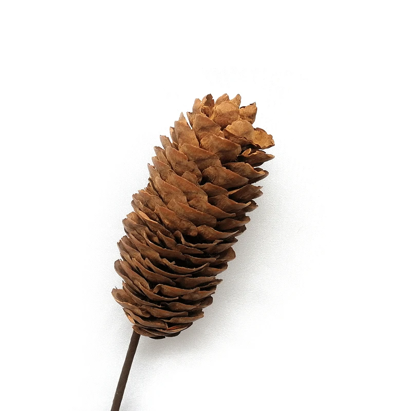 Amazon wholesale flowers natural dried pine cone florist supplies for interior home decorative