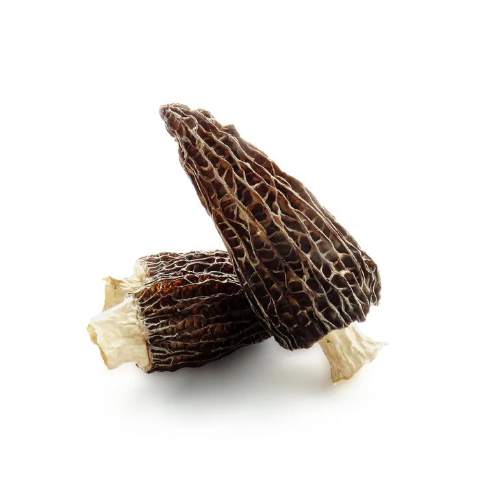New Products 2022 Agriculture Buyer Favorite Edible Reasonable Morels Mushroom Price Of Morchella Mushroom