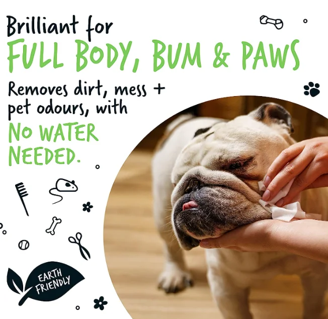 100% Free Biodegradable pet wipes for pet full body eye wipes ear wipes bum & paws