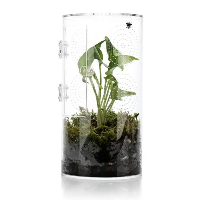 Factory Custom 6*6*12 Inch Reptile Breeding Box Jumping Spider Enclosures Reptile Terrarium