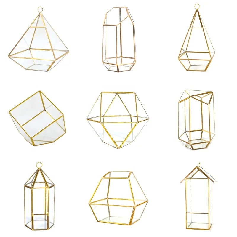 dakang Dome Hanging Plant Geometric Reptiles Do Terrarium Glass For Plants Kit Containers Miniature Wholesale With Lid