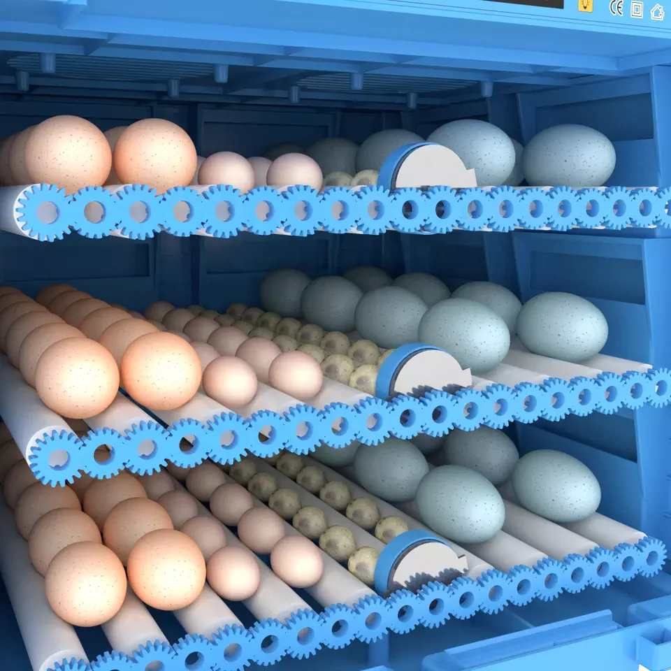 64-320eggs fully automatic  dual power 12V mini incubator