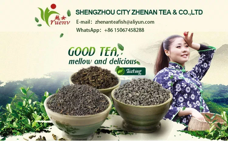 European standard Chunmee green tea 41022