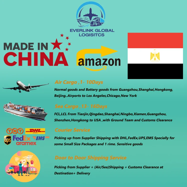 The best DHL UPS FedEx Express delivery logistics agent sea freight forwarder sea cargo shipment Shenzhen to Egypt India Turkey