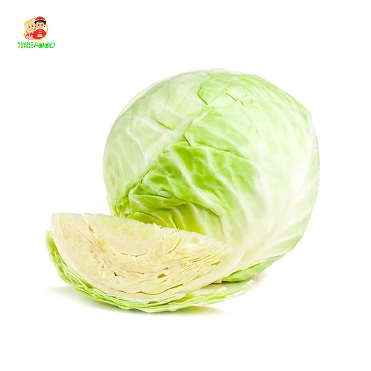 Factory jade cabbage popular sale natural Fresh Cabbages with for Cabbages