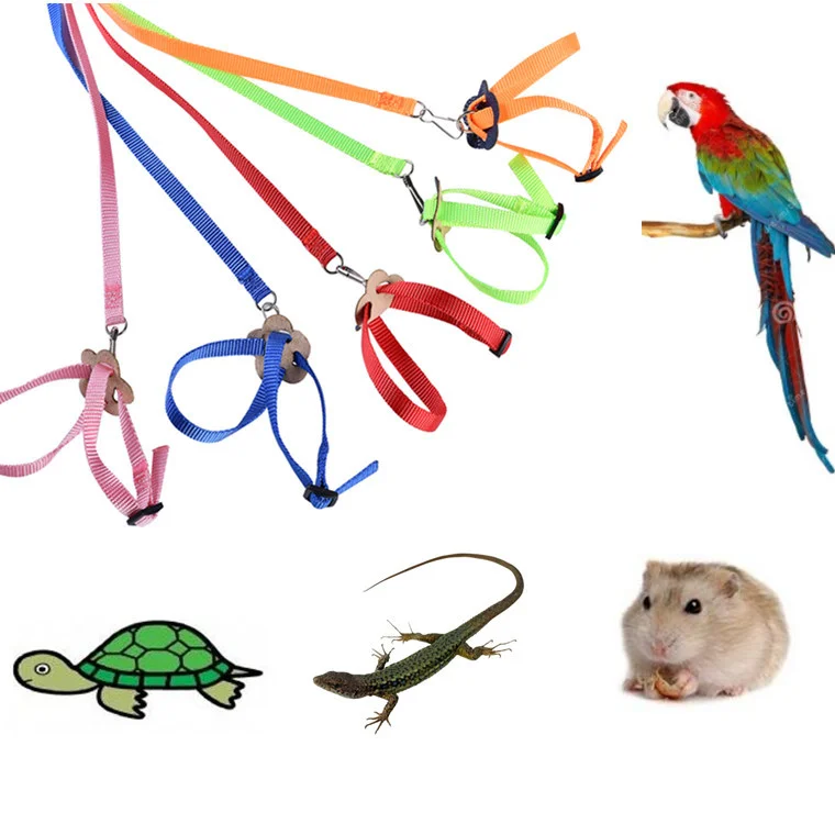 new small pet parrot bird hamster turtle lizard traction rope walking rope 8-shaped strap bird parrot traction rope