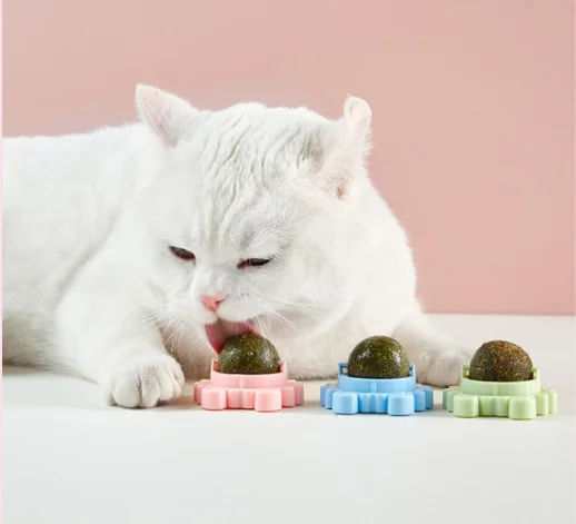 Игрушечная наклейка для кошек