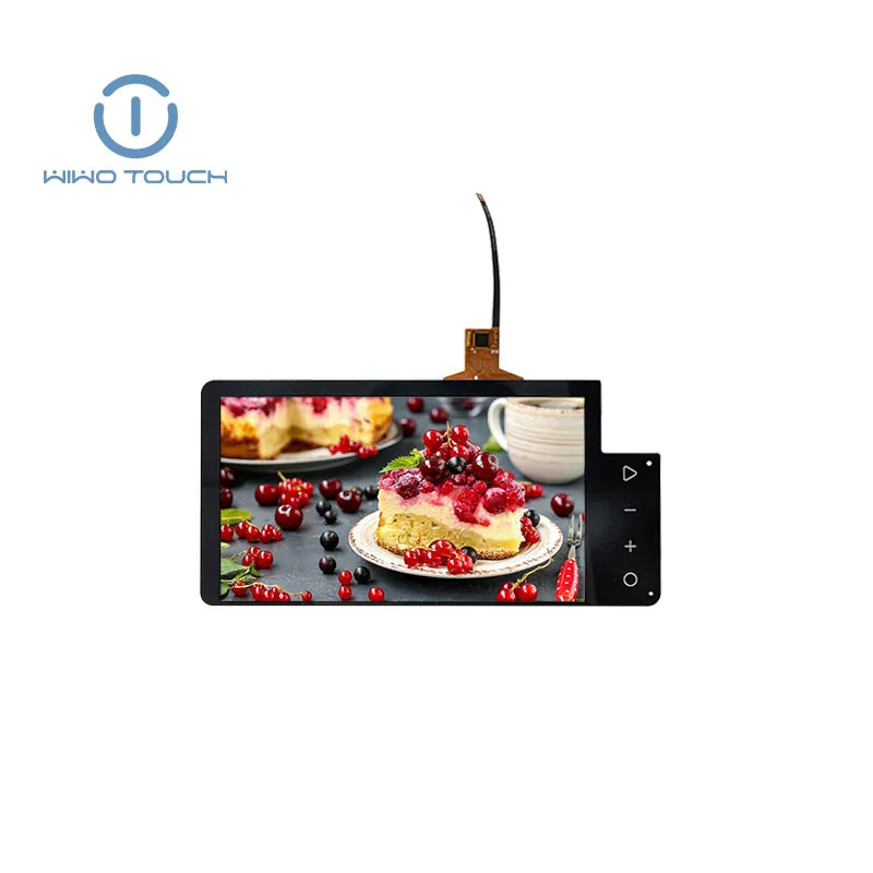 Пользовательский размер сенсорный модуль 7