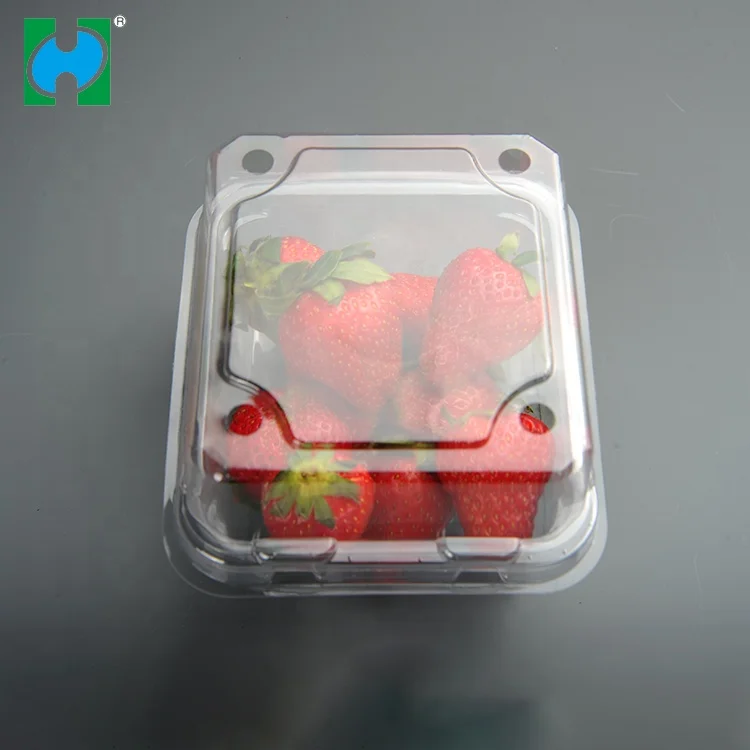 Custom Transparent Disposable Plastic Fruit Packaging Container Covers Lids Dry Containers