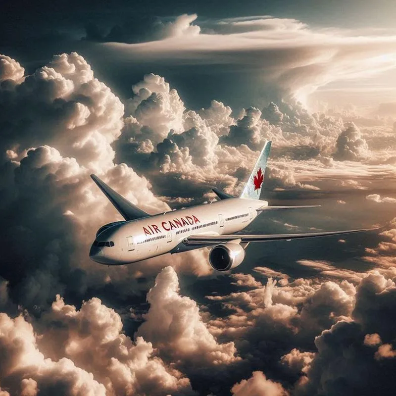 cheapest products online express freight logistics warehouse order fulfillment services shipping dhl from china to south africa