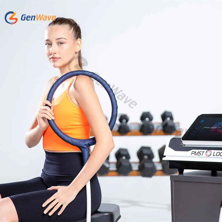 PEMF LOOP Pulsed Electromagnetic Field Pemf Equine PMST LOOP PRO MAX Magnetic Therapy Machine For Body Pain Recovery Machine