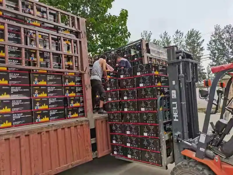 
Hot sale fungicide mancozeb 80%WP powder with good quality 