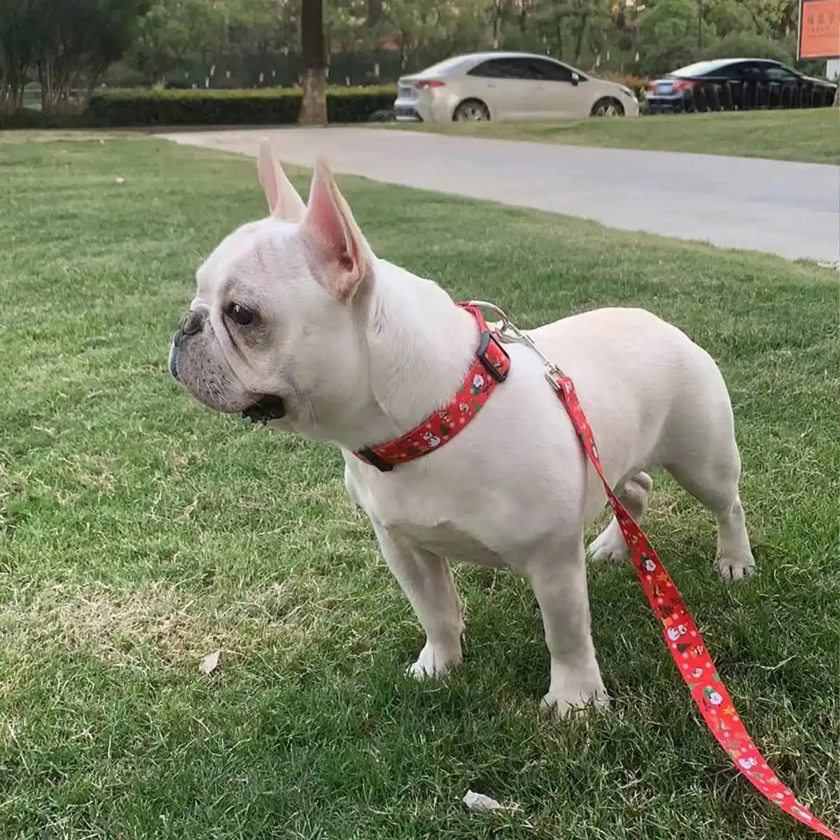 Explosion-Proof Heavy Duty Flexi Leashes, Reflective Retractable Dog Leashes with Padded Handles for Large Dogs/