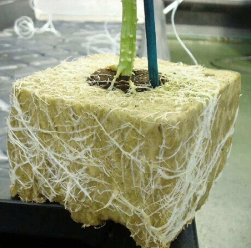 Factory wholesale high quality greenhouse hydroponic rock wool slate rock wool growing cube