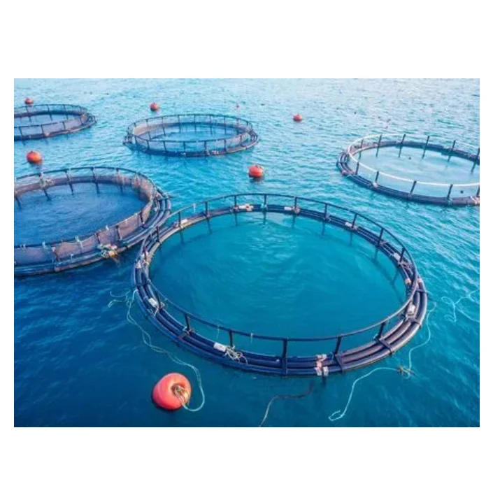 fishing float boat aquaculture fish farming for tilapia fish net off shore fish cages