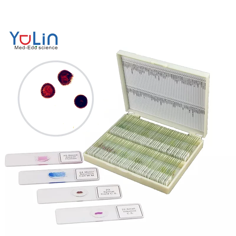 microscope prepared slides Zoology slides glass teaching slides for educational use teaching science