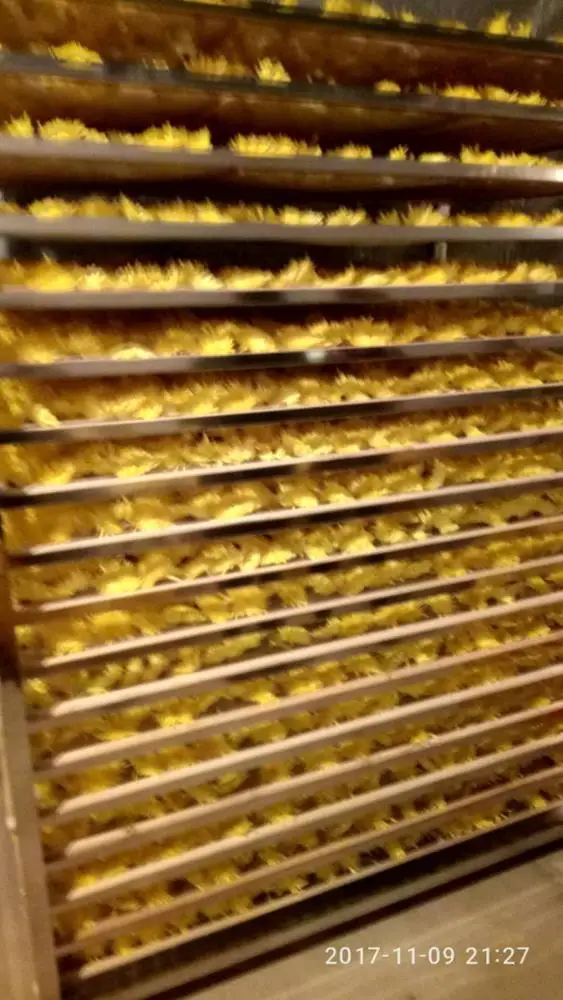 Heating industrial drying and curing machine Flower Jewelweed dehydrator