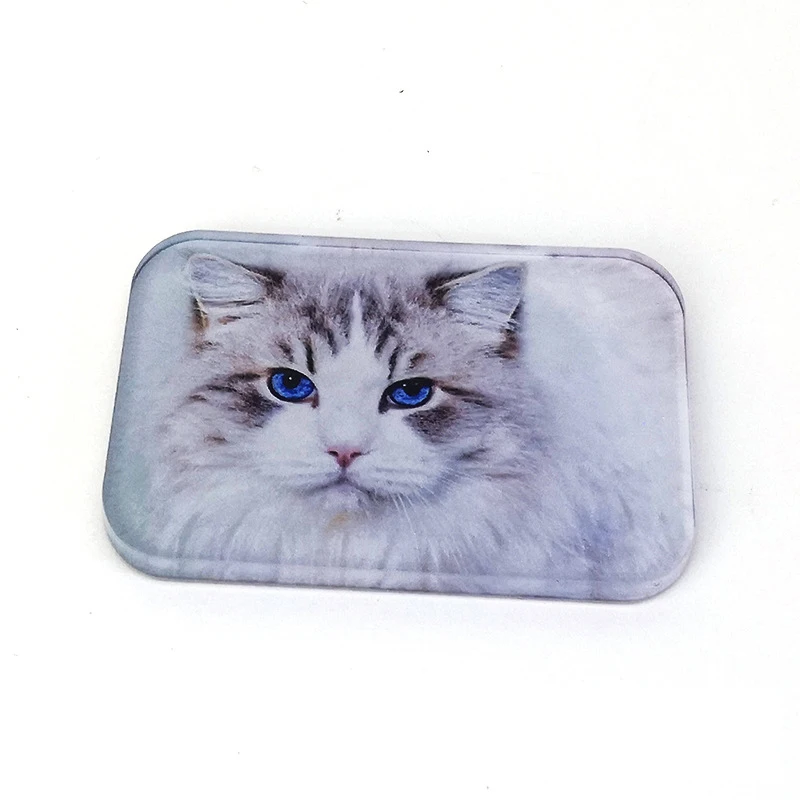 Hot Sale Customized Acrylic Fridge Magnet  Sublimation Fridge Magnet Blanks