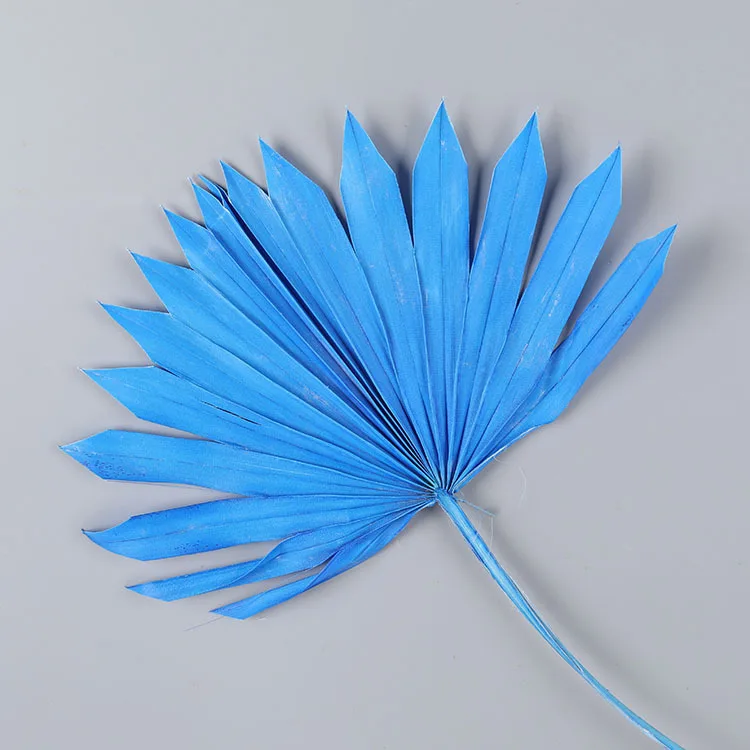 Boho wedding decor natural flower plant preserved large tropical dry palm spears fan leaf bleach white small dried palm leaves