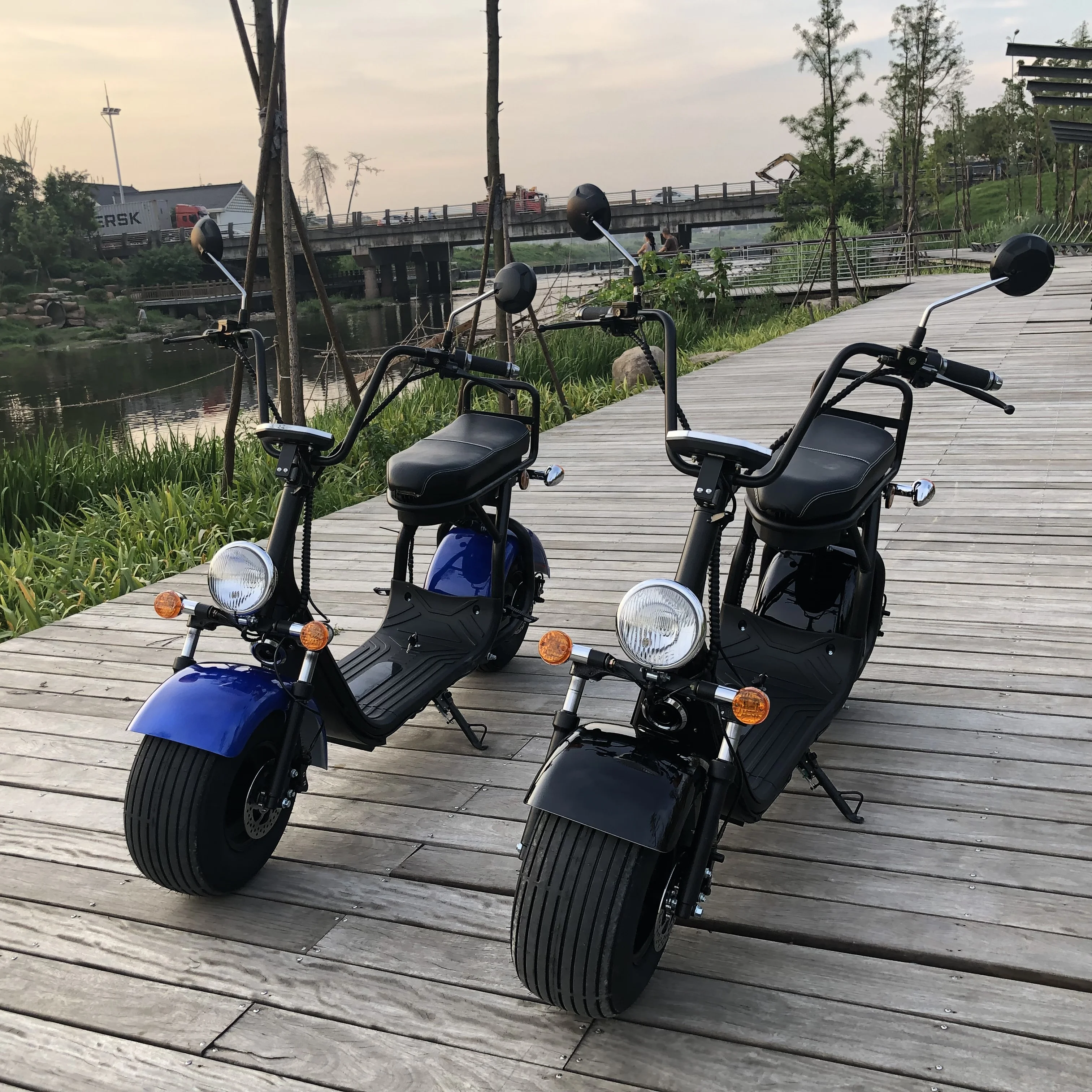 Dropshipping New Arrival Electric Scooter EEC/COC Citycoco 1500/2000W/3000W Electric Bike Door To Door
