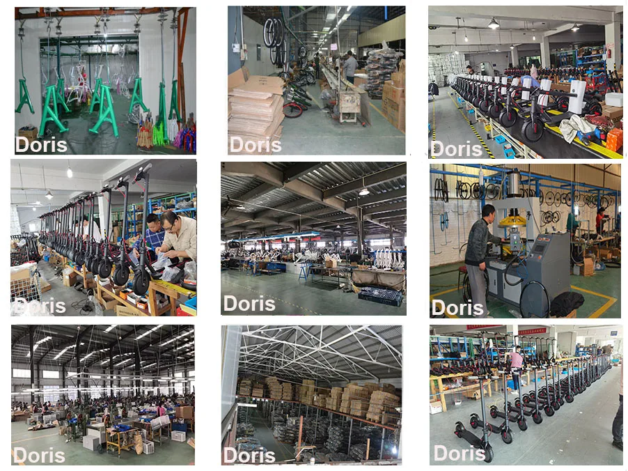 Doris Guan factory.jpg