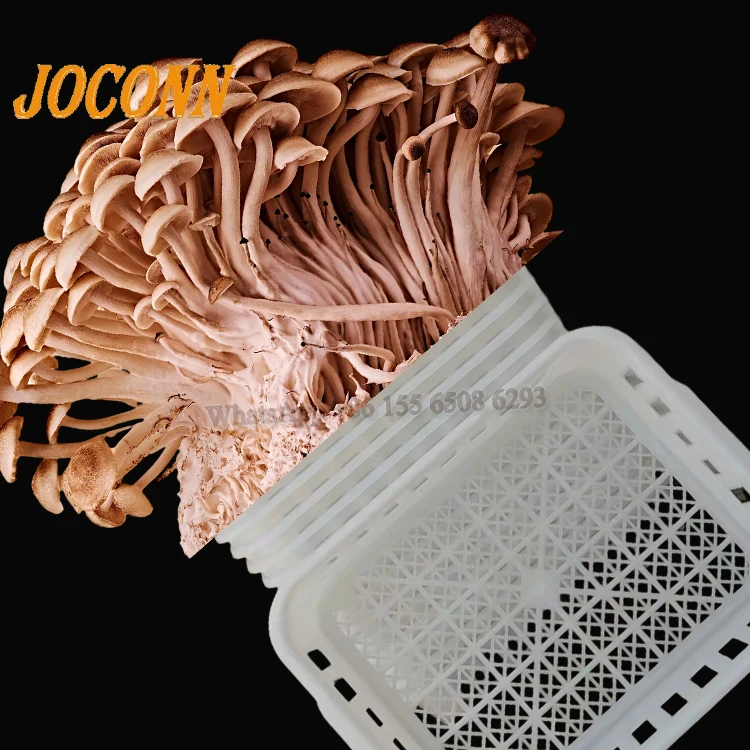 Special price Bacteria bag sterilization box Mushroom plastic tray edible fungi plastic loading compost bags basket With Handle