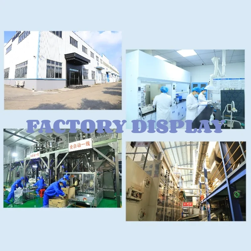 Dry Cat Food 1 to 12 Month Food Cat and Dog Chicken Mix Halal Dry Cat Food Manufacturer